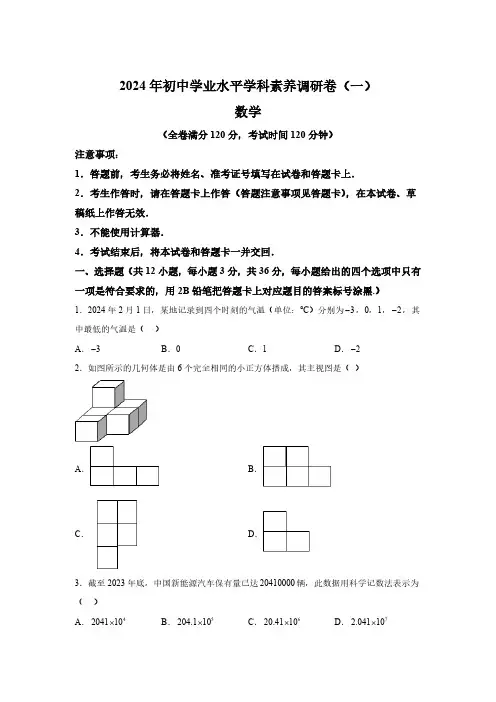 2024年广西壮族自治区南宁市部分学校九年级一模考试数学模拟试题(含解析)