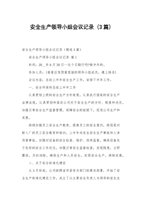 安全生产领导小组会议记录(3篇)