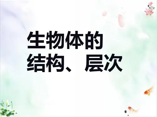 生物体的结构层次件全ppt