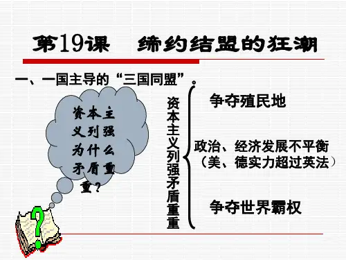九年级历史上册第19课