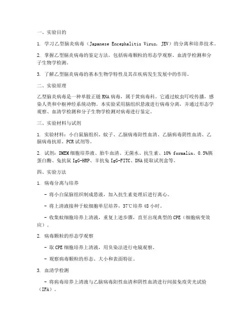 乙型脑炎实验报告