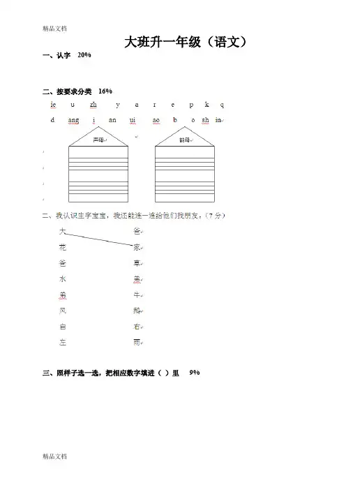 最新大班升一年级.语文试卷doc
