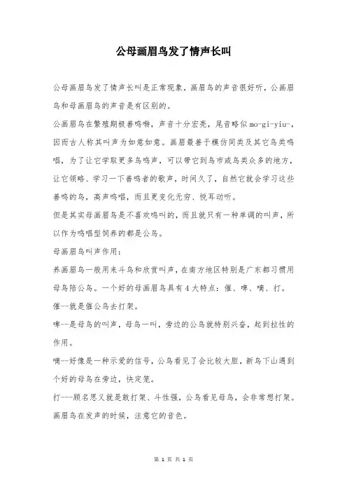 公母画眉鸟发了情声长叫