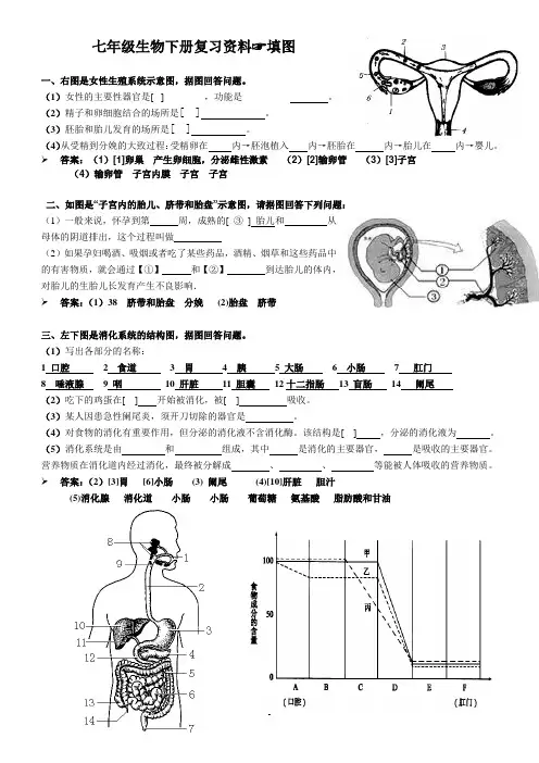 七年级生物下册期末复习之识图分析题2014