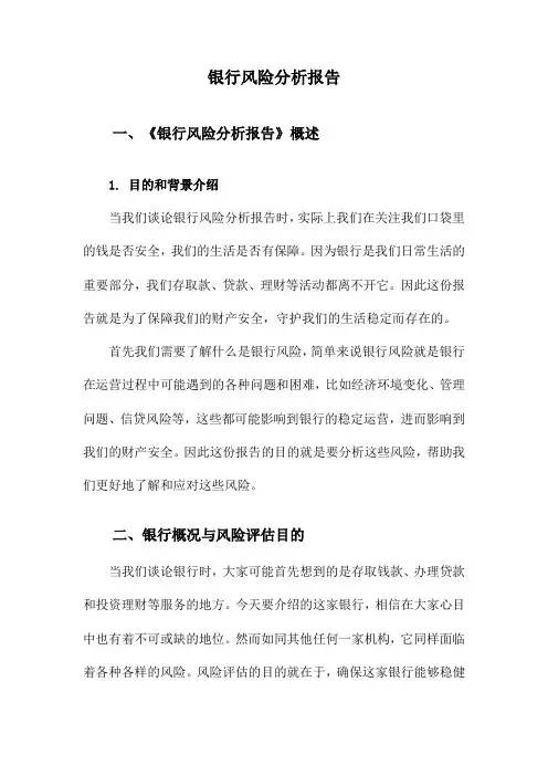 银行风险分析报告