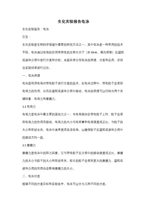 生化实验报告电泳