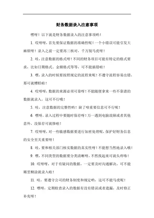 财务数据录入注意事项