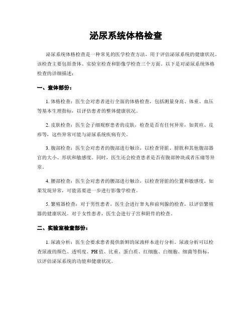 泌尿系统体格检查