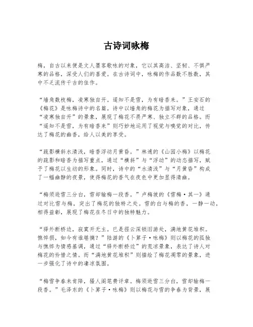 古诗词咏梅