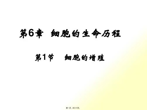 细胞增殖_培训课件