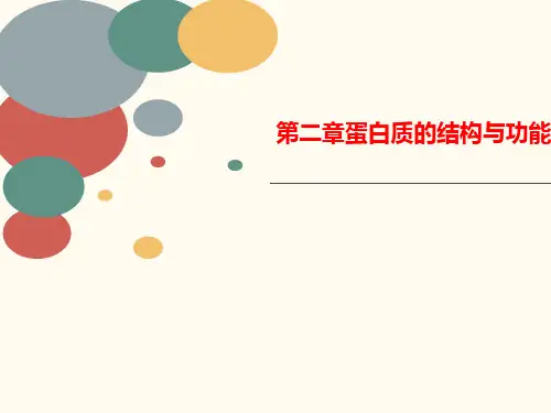 第二章讲义蛋白质的结构与功能