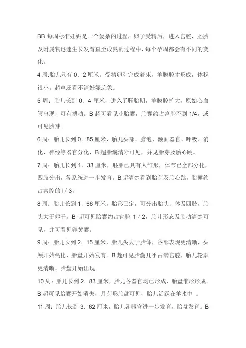 B超数据标准值