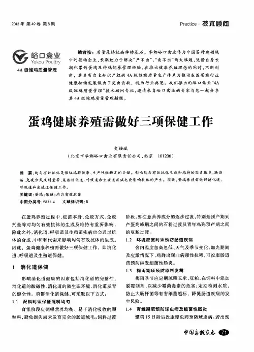 蛋鸡健康养殖需做好三项保健工作