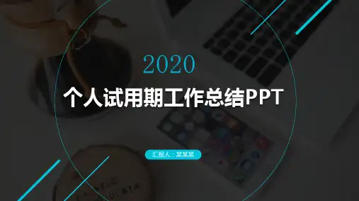 个人试用期工作总结PPT