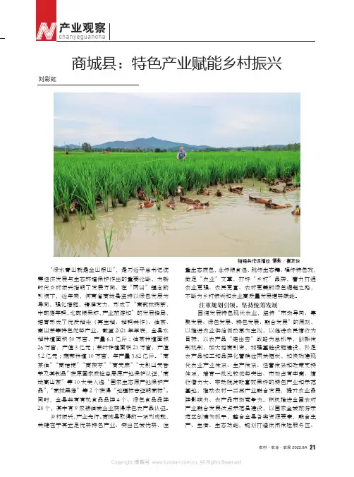 商城县：特色产业赋能乡村振兴