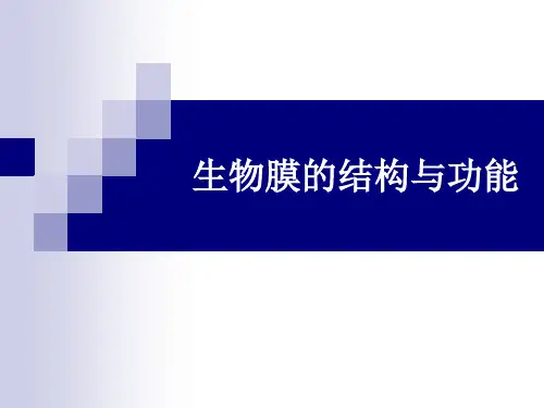 第四章生物膜