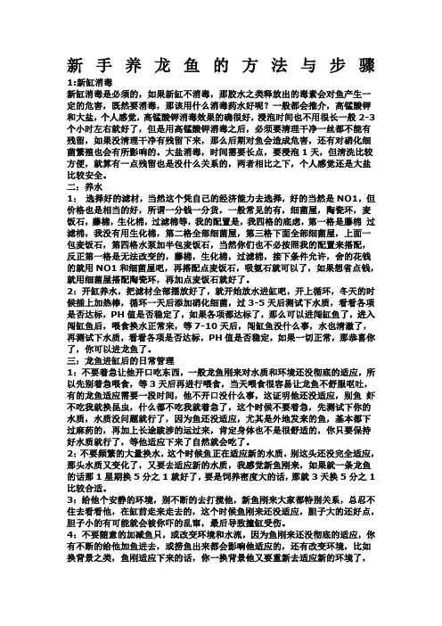 新手养龙鱼方法与步骤