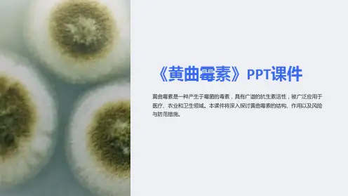 《黄曲霉素》课件