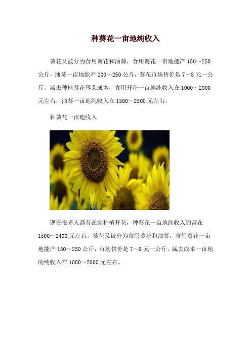 种葵花一亩地纯收入