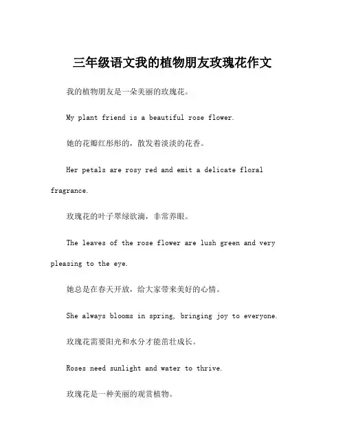 三年级语文我的植物朋友玫瑰花作文
