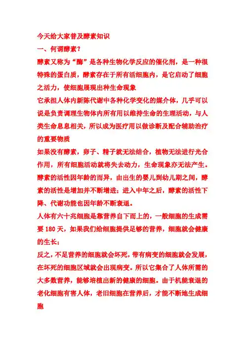 酵素知识文档