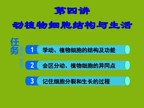 人教版初中生物七年级上册复习课 第四讲 动植物细胞结构与生活 课件 (共18张PPT)
