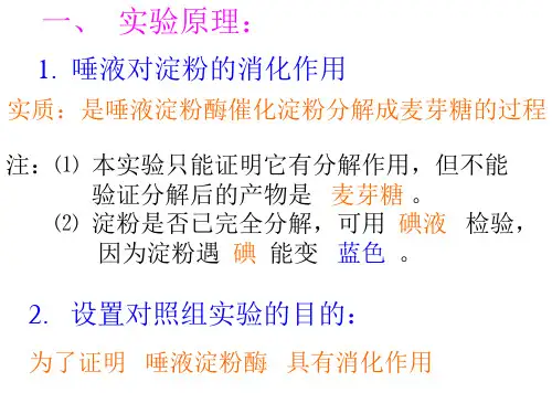 九年级科学酶2(PPT)4-3