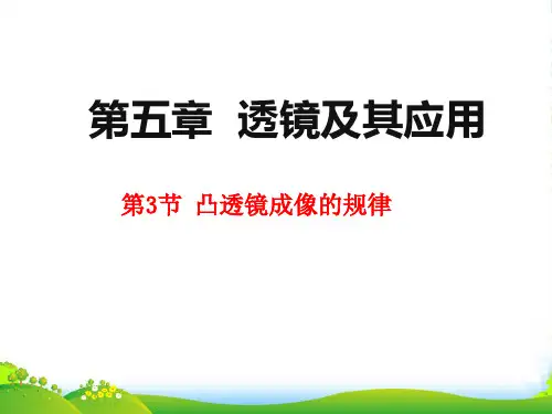 苏教版八年级上册物理课件：4.3 凸透镜成像的规律(第1课时) (共15张PPT)