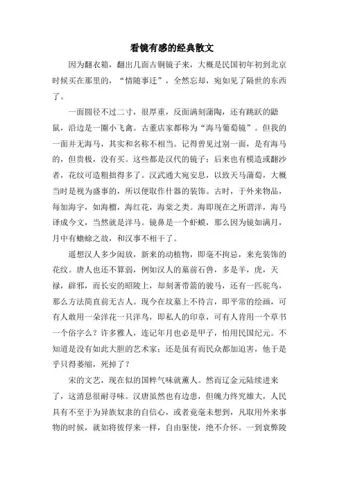 看镜有感的散文