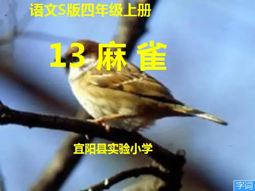 《麻雀》(S版小学四年级语文上册)PPT课件