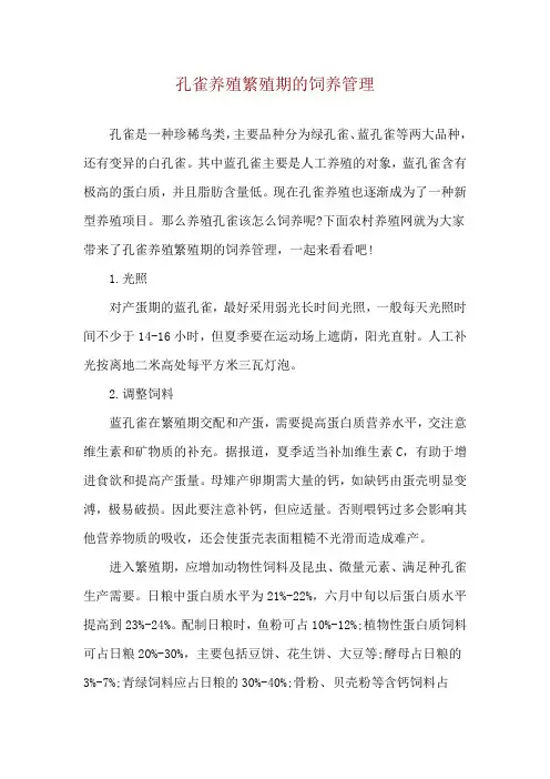 孔雀养殖繁殖期的饲养管理
