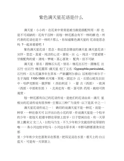 紫色满天星花语是什么