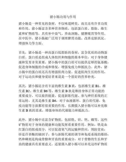 猪小肠功效与作用