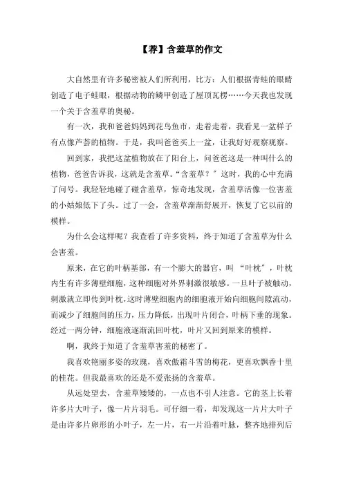 含羞草的作文(3)精编