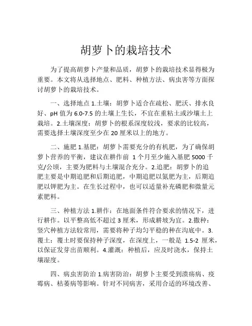 胡萝卜的栽培技术