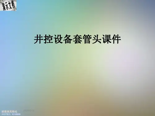 井控设备套管头课件