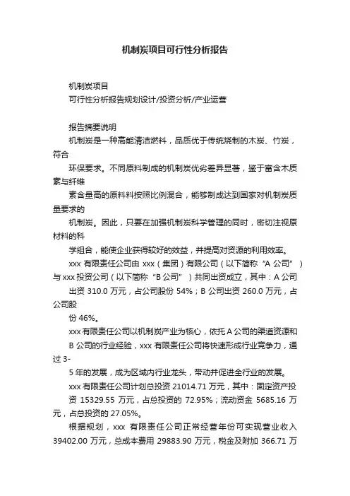 机制炭项目可行性分析报告
