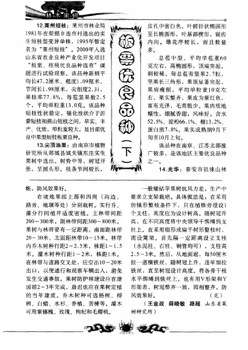 板栗优良品种(下)