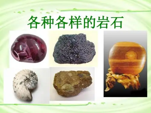 《各种各样的岩石》岩石和矿物PPT优秀课件