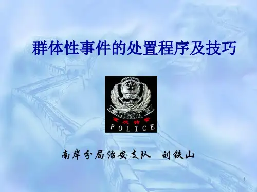 群体性事件的处置程序及技巧ppt课件