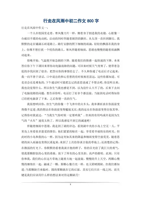 行走在风雨中初二作文800字