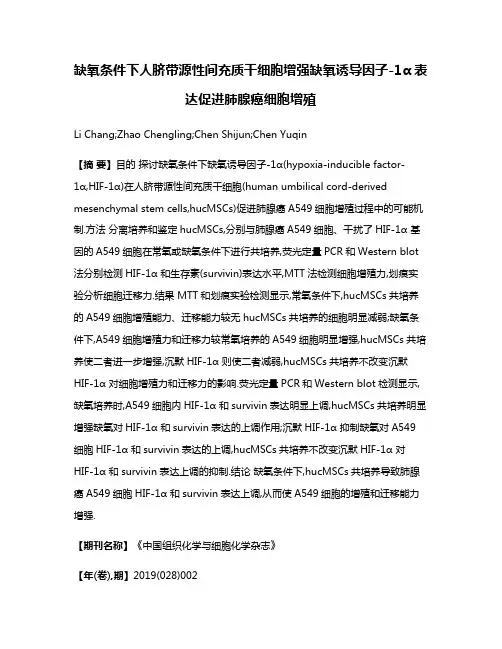 缺氧条件下人脐带源性间充质干细胞增强缺氧诱导因子-1α表达促进肺腺癌细胞增殖