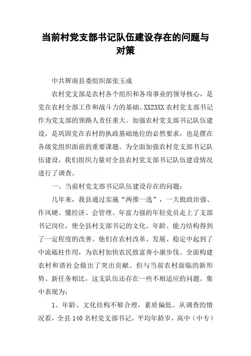 当前村党支部书记队伍建设存在的问题与对策