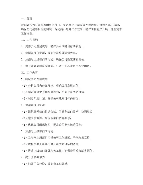 计划处工作规划