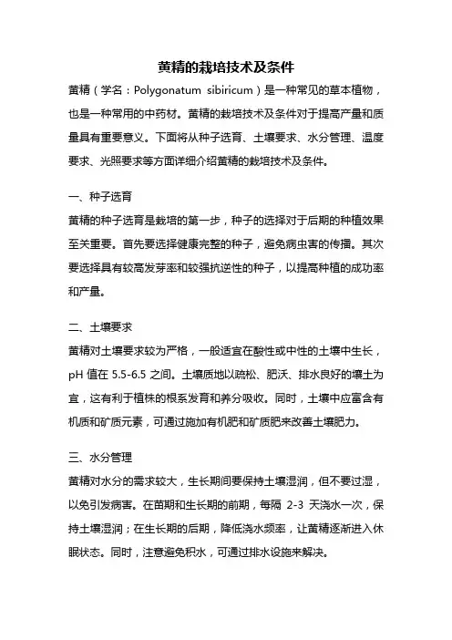 黄精的栽培技术及条件