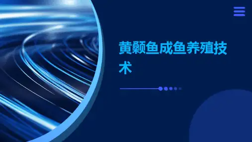 黄颡鱼成鱼养殖技术