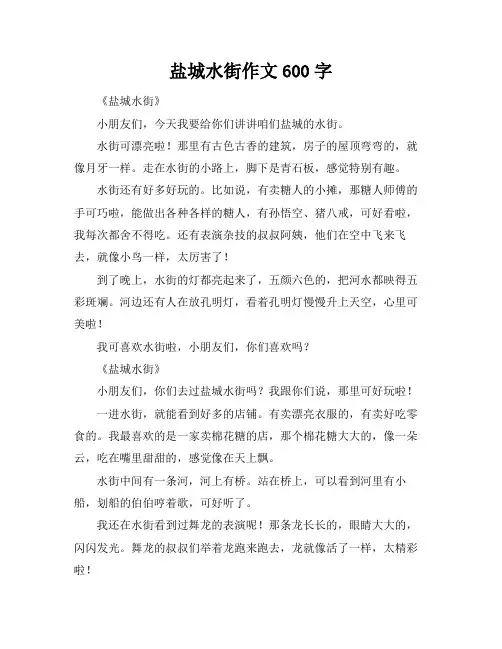 盐城水街作文600字