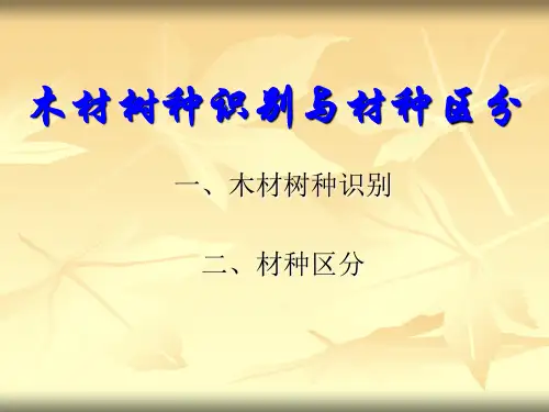 木材分类与识别