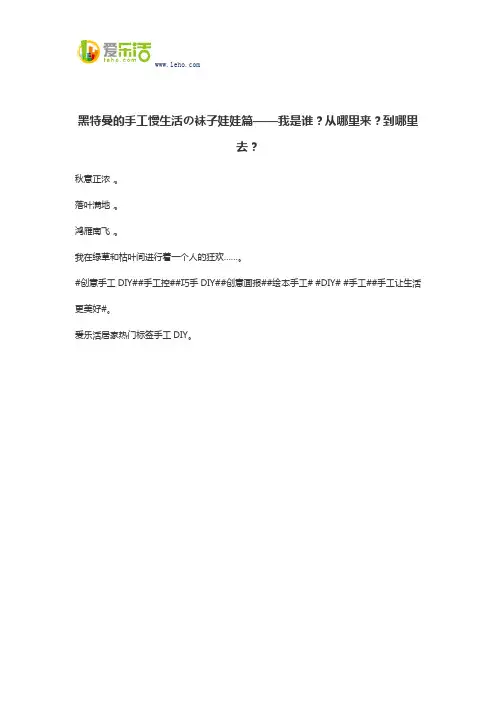 黑特曼的手工慢生活の袜子娃娃篇——我是谁？从哪里来？到哪里去？