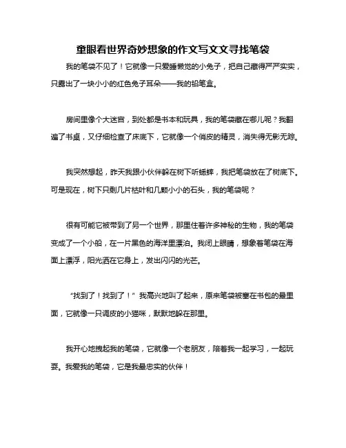 童眼看世界奇妙想象的作文写文文寻找笔袋